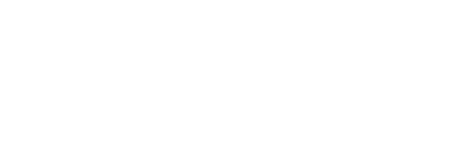 DIRECTOR’S STATEMENT